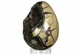 Septarian Dragon Egg Geode - Black Crystals #157897-2